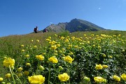 PIZZO ARERA (2512 m) ad anello, salito dalla cresta est e sceso dalla sud il 26 giugno 2018 - FOTOGALLERY